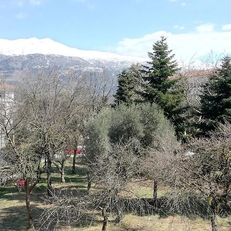 Gks Park View Apartment Ioannina Bagian luar foto